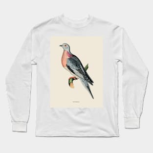 Pigeon Antique Naturalist Illustration Long Sleeve T-Shirt